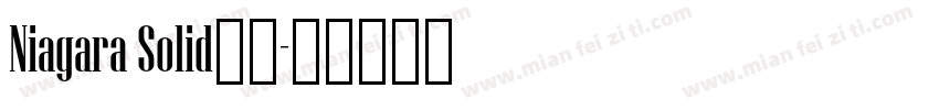 Niagara Solid字体字体转换